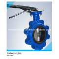 Casting CF8m Disc Two Shaft/Stem Lugged Butterfly Valve